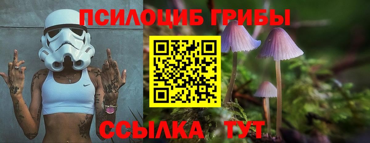 Псилоцибиновые грибы мухоморы Полысаево